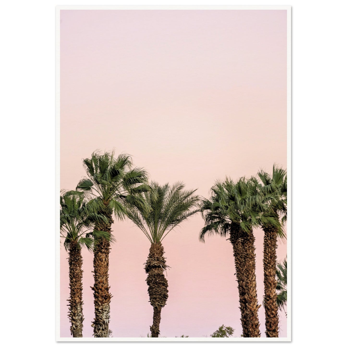 LA Palm Trees at Dusk Poster 70x100 cm 28x40″ Border