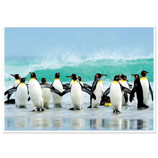 Atlantic Ocean Penguins Poster 70x100 cm 28x40″ Border