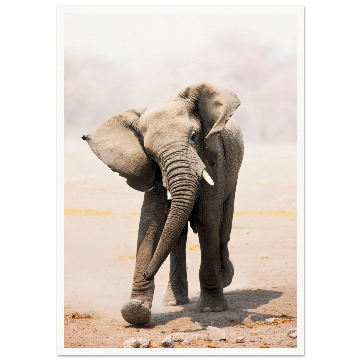 An Elephant Wall Art Poster A2 (42 x 59.4 cm) Border