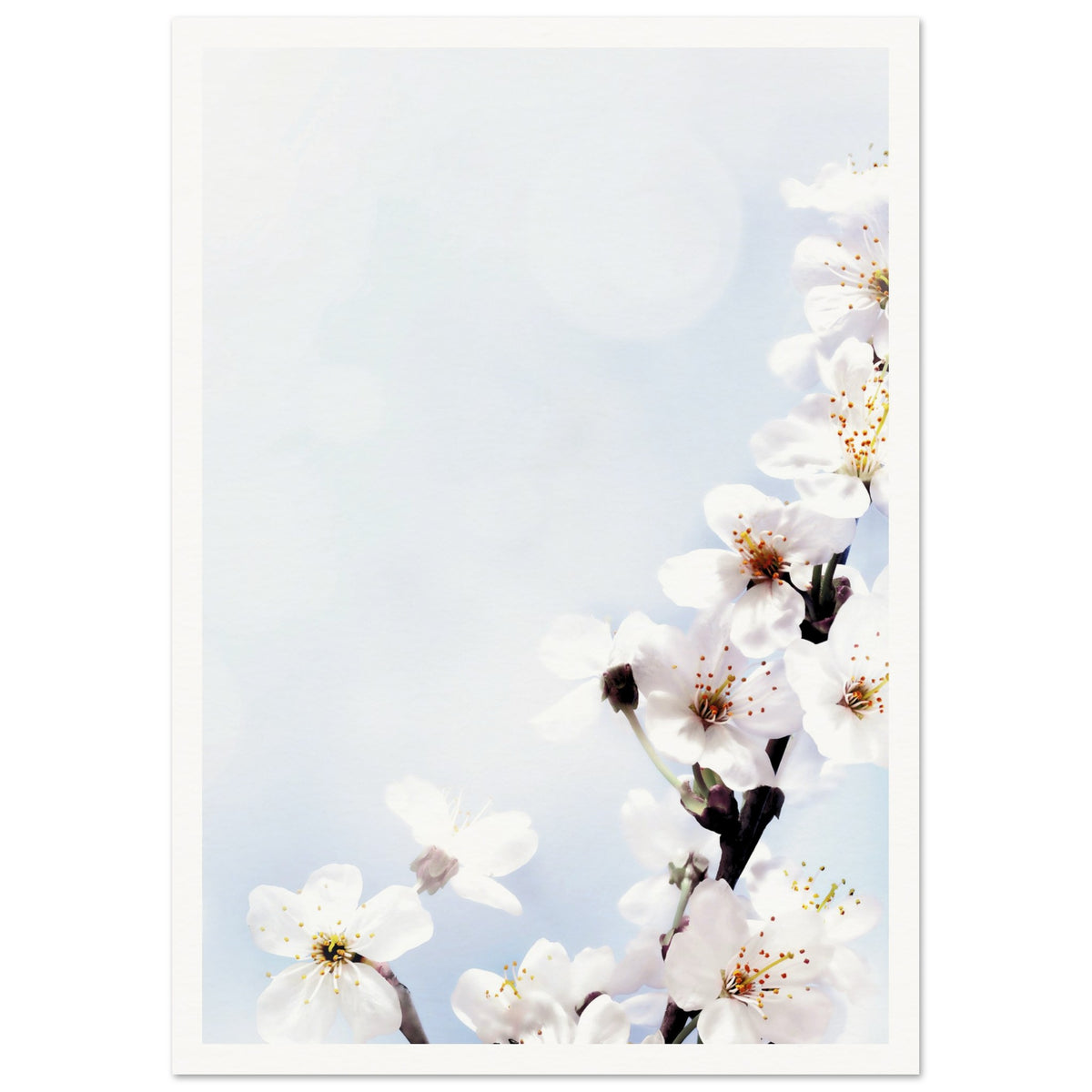 1b3d02ca-bb42-4f17-b330-147f2d46c90e