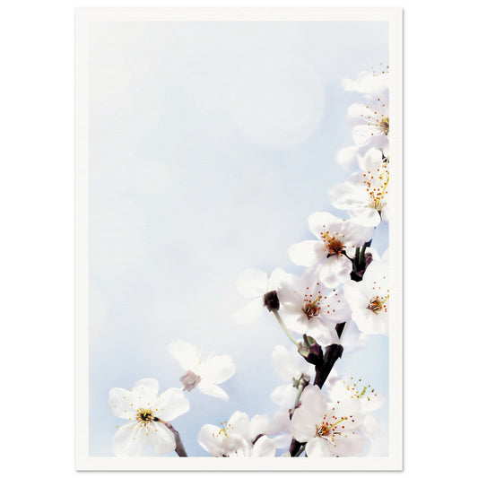 1b3d02ca-bb42-4f17-b330-147f2d46c90e