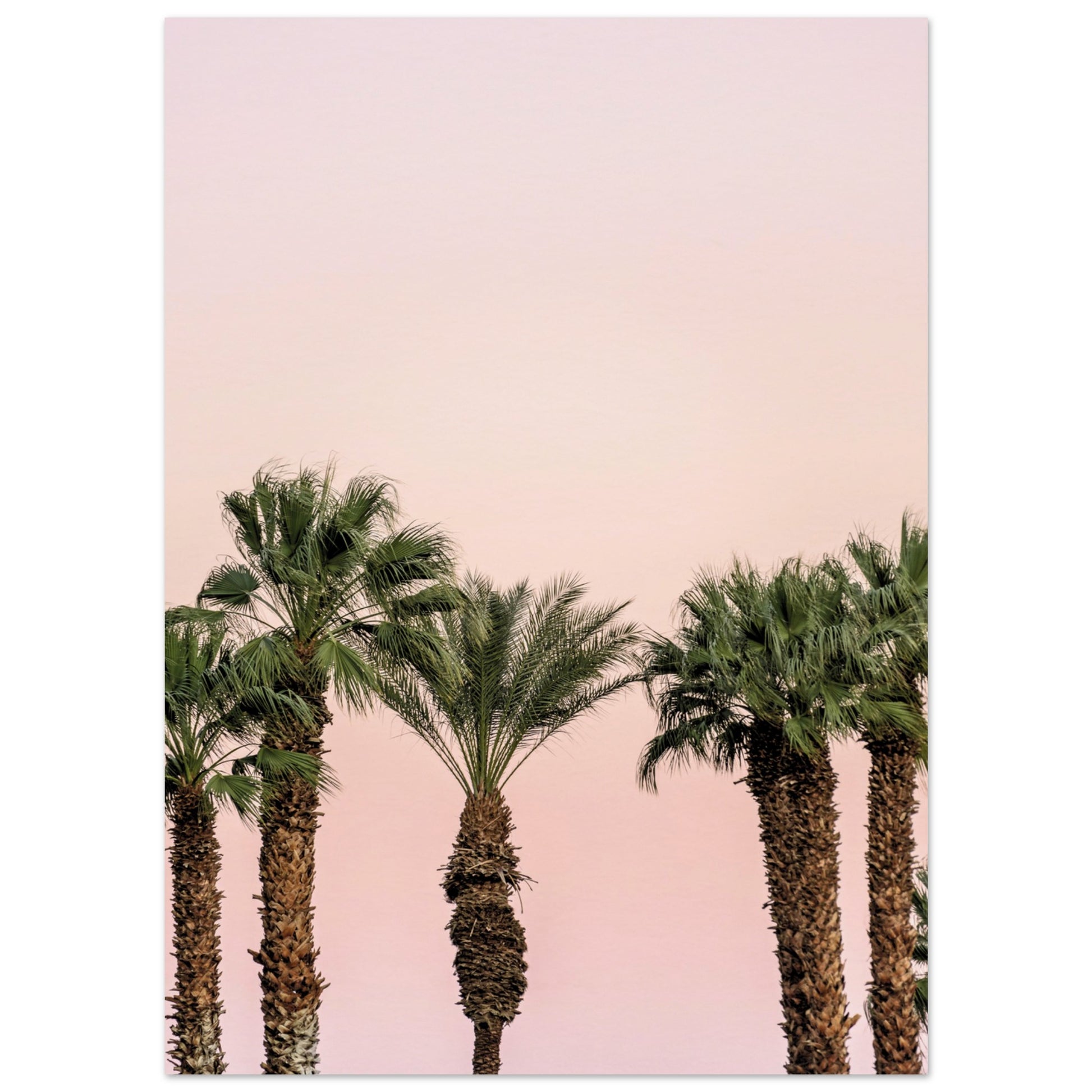 LA Palm Trees at Dusk Poster 13x18 cm 5x7″ No Border
