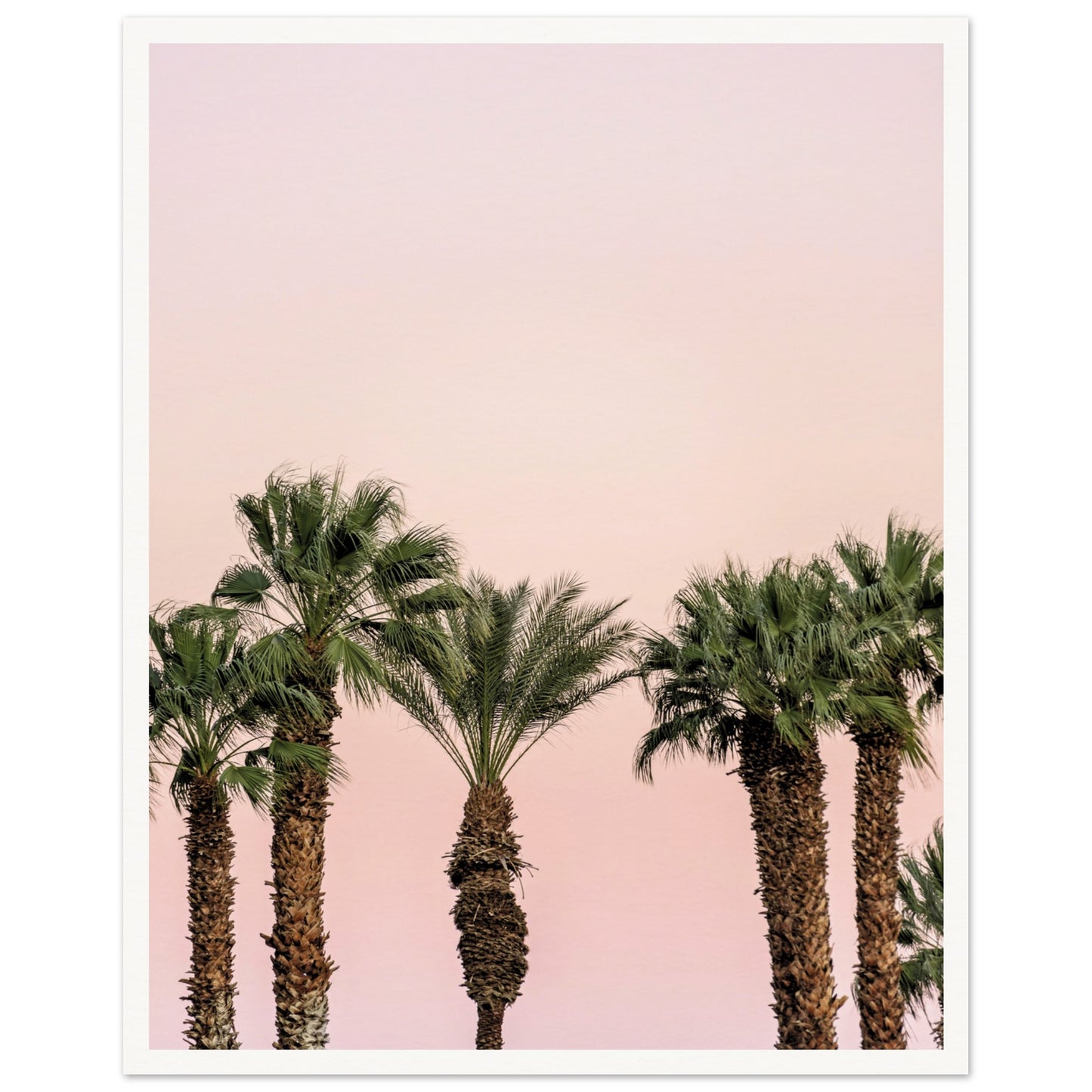 LA Palm Trees at Dusk Poster 40x50 cm 16x20″ Border