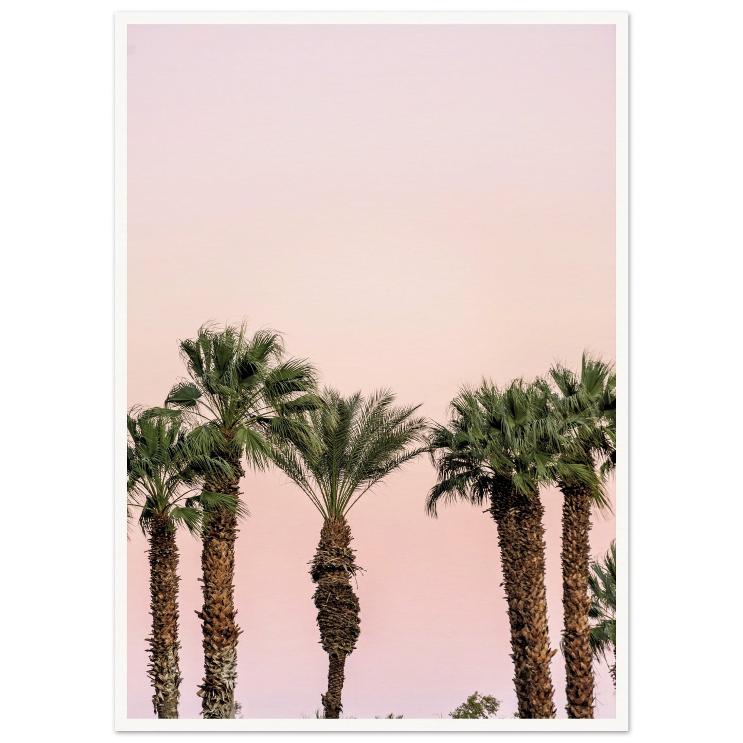 LA Palm Trees at Dusk Poster 50x70 cm 20x28″ Border