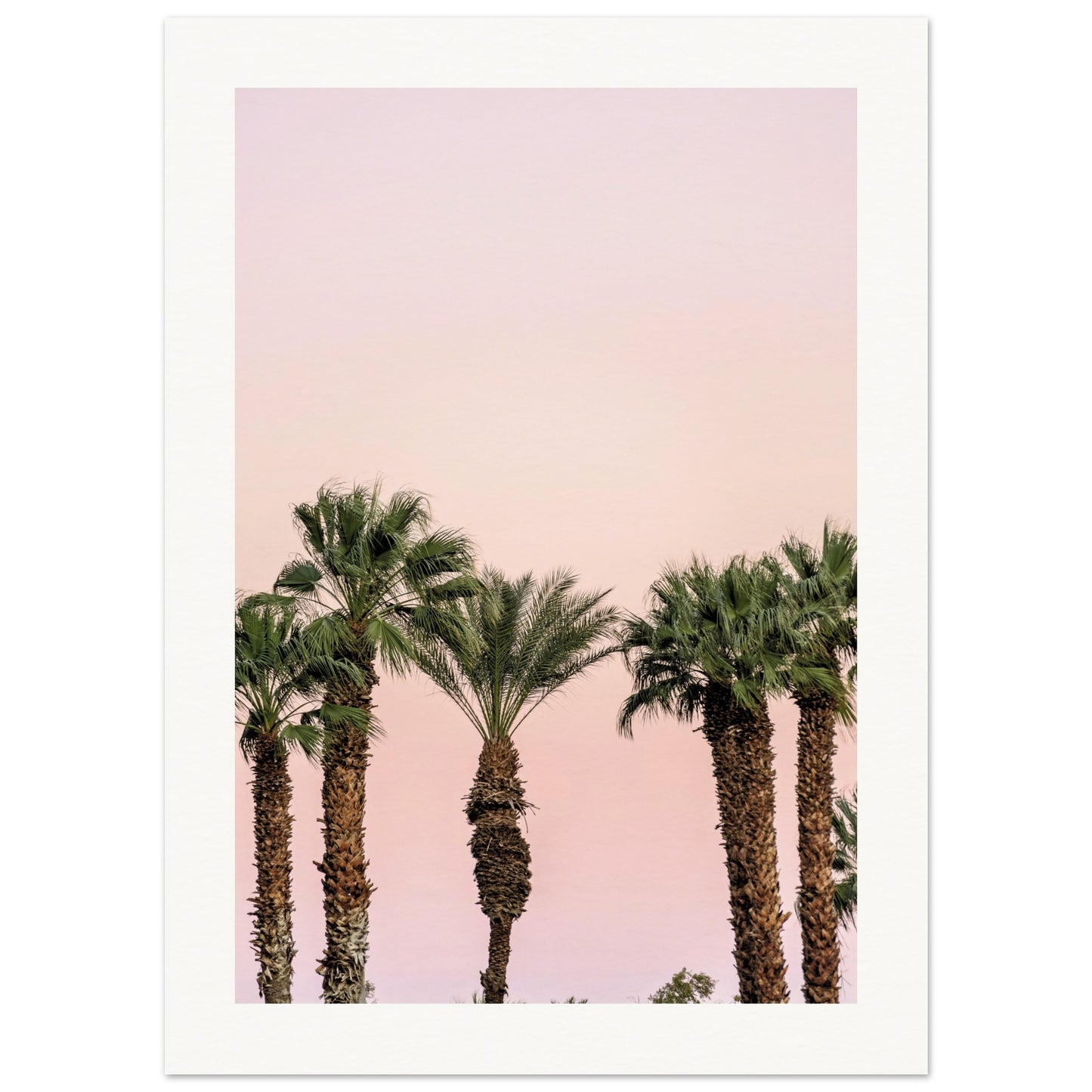 LA Palm Trees at Dusk Poster 13x18 cm 5x7″ Border