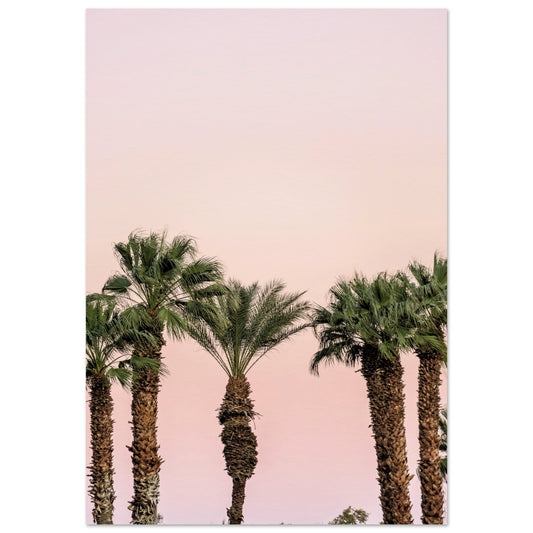 LA Palm Trees at Dusk Poster 70x100 cm 28x40″ No Border