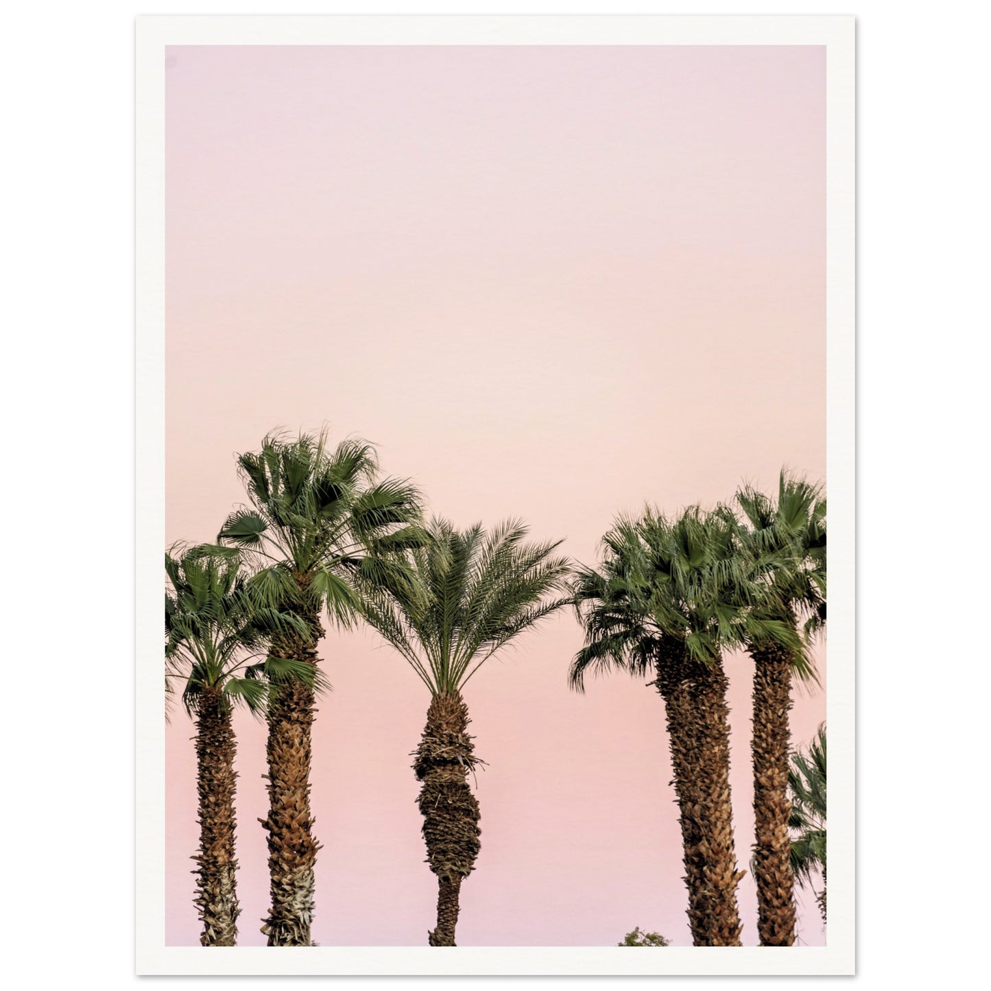 LA Palm Trees at Dusk Poster 30x40 cm 12x16″ Border