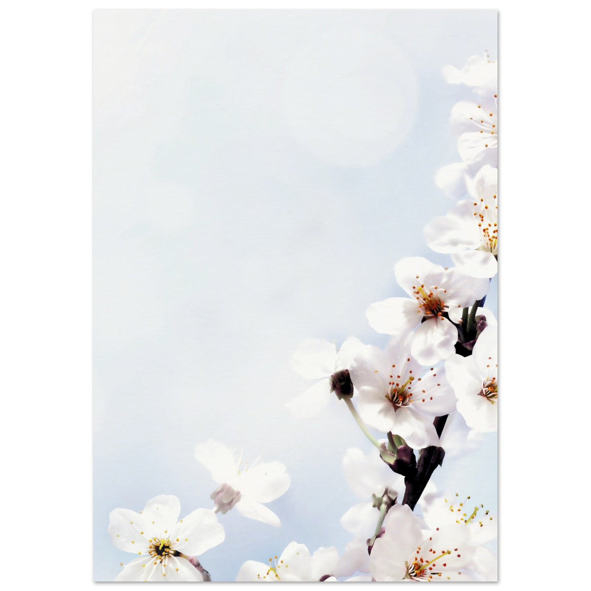 903f9029-49db-41a1-82f1-b56d8997dc68