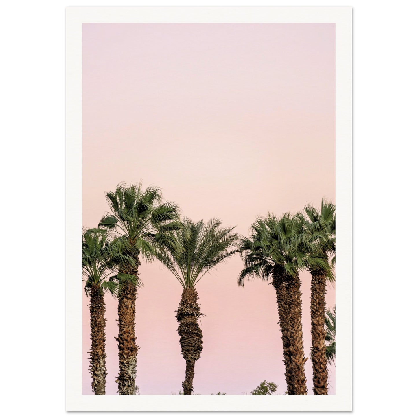 LA Palm Trees at Dusk Poster 21x29.7 cm 8x12" Border