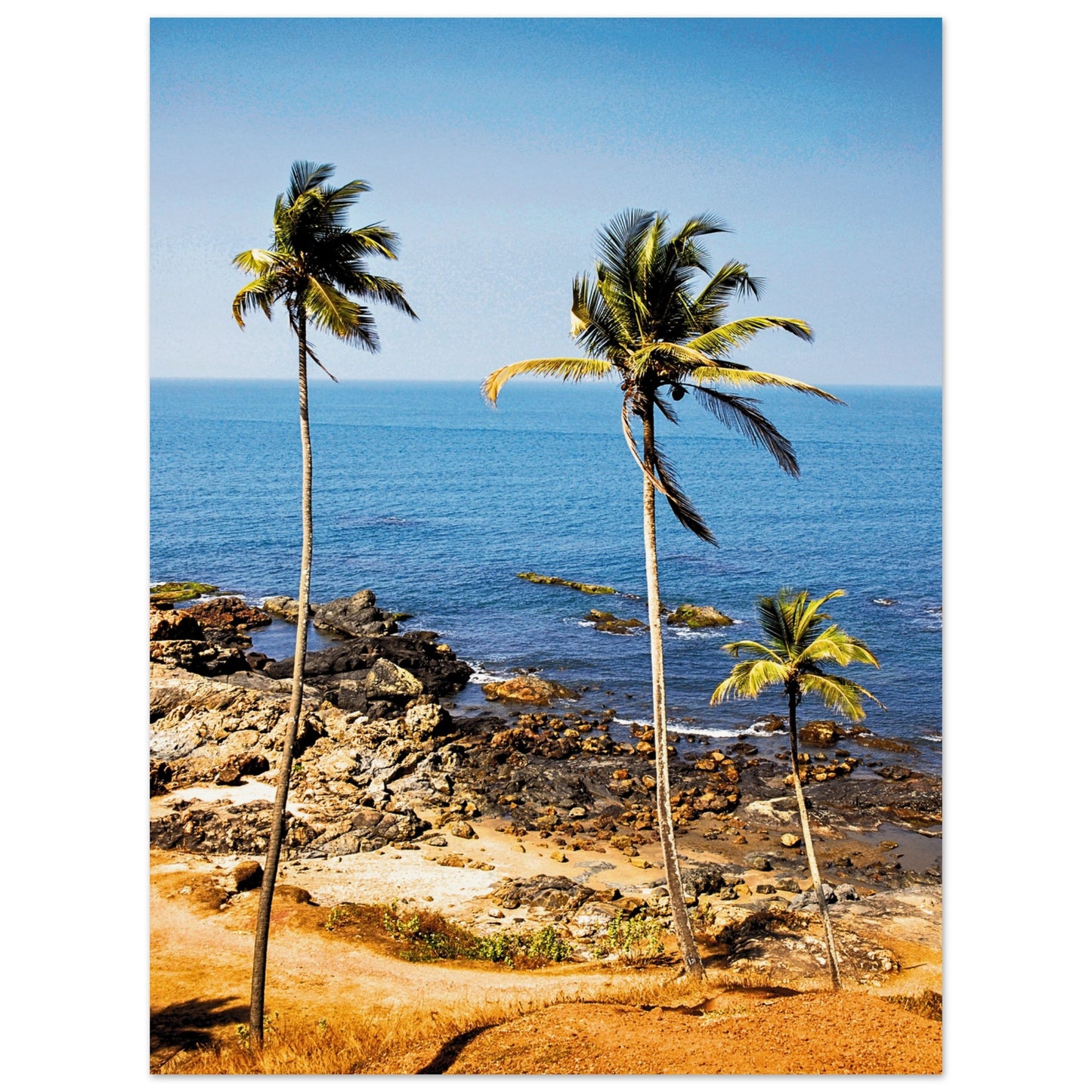 Golden Sands of Goa Poster 30x40 cm 12x16″ No Border