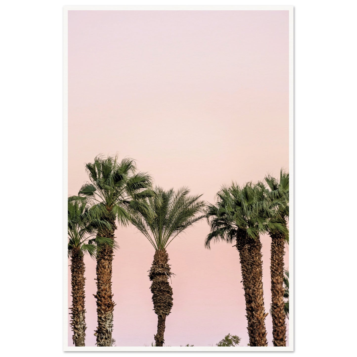 LA Palm Trees at Dusk Poster 60x90 cm 24x36″ Border