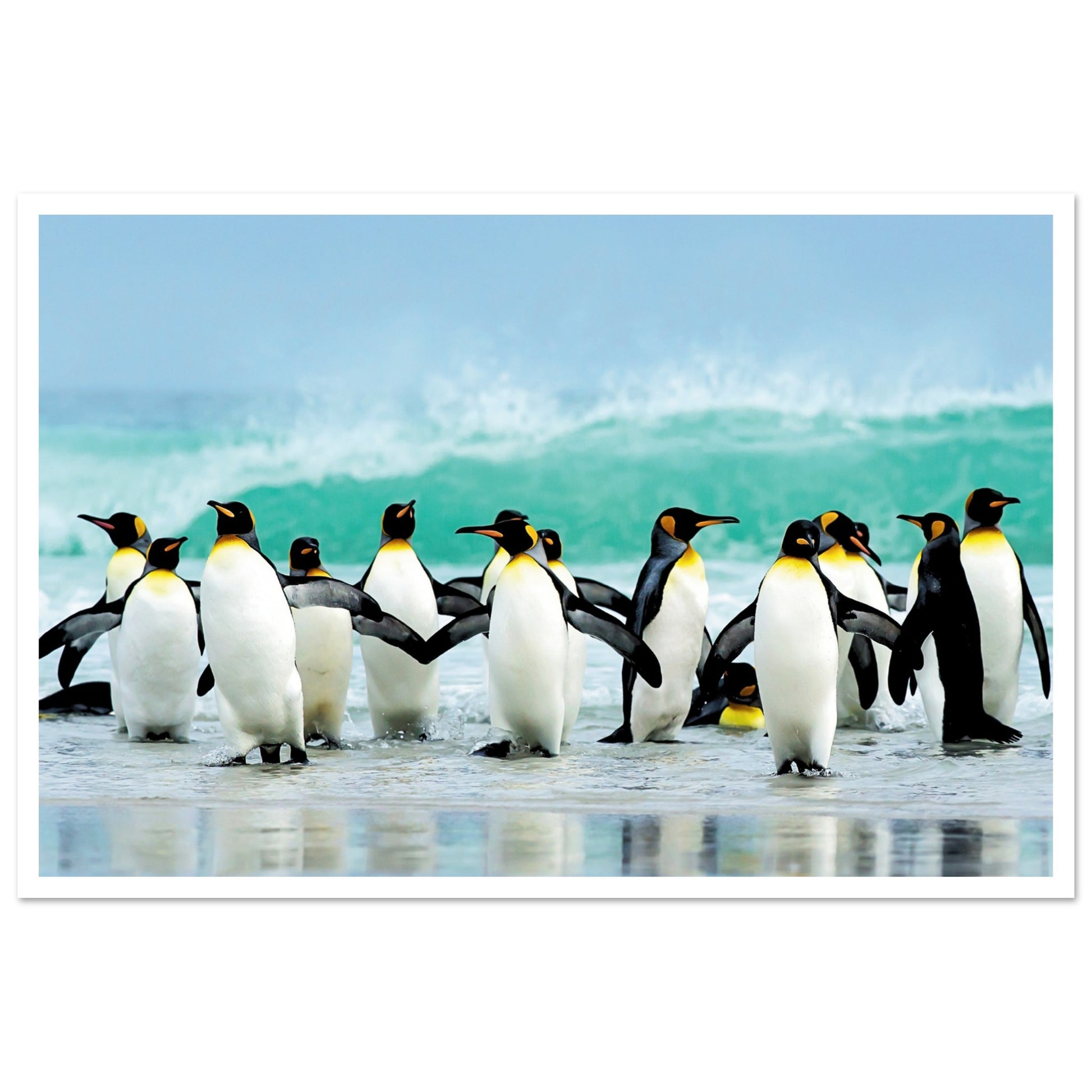 Atlantic Ocean Penguins Print 40x60 cm 16x24″ Border