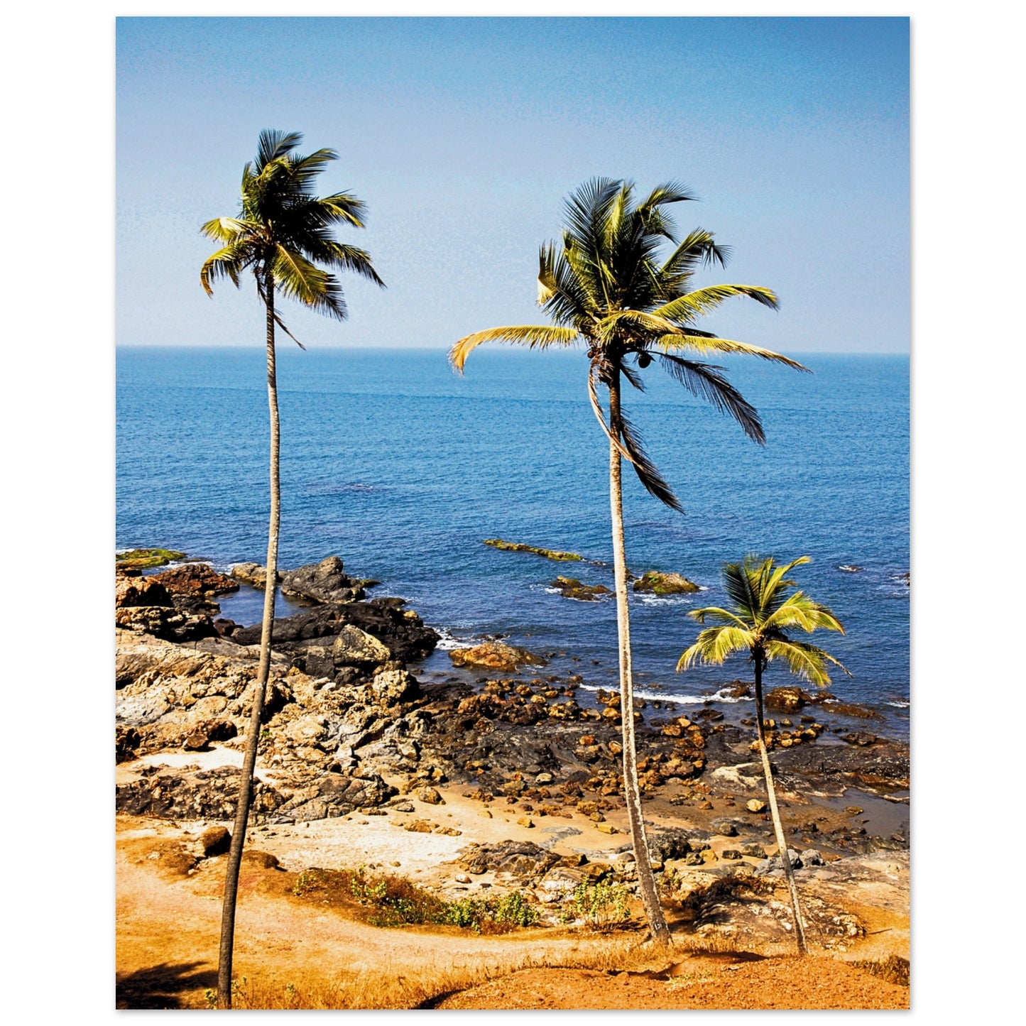 Golden Sands of Goa Poster 40x50 cm 16x20″ No Border