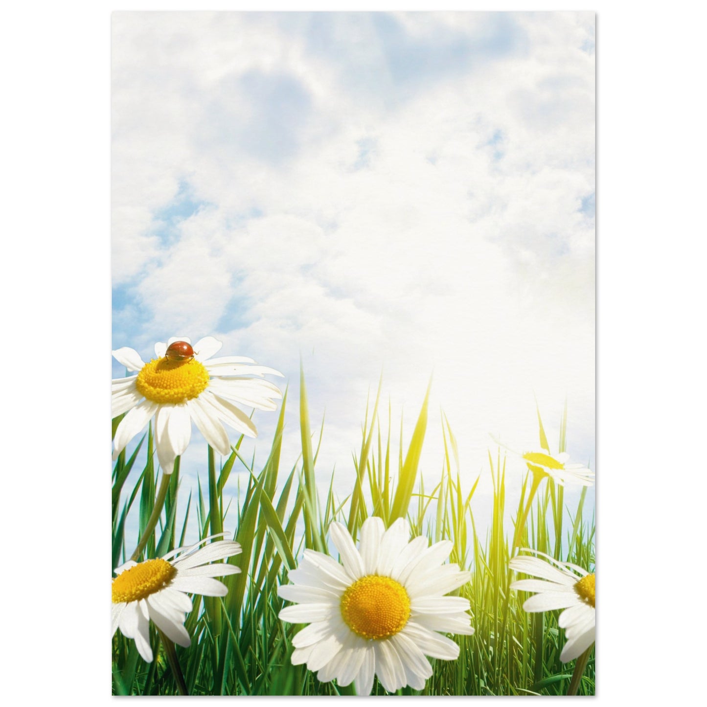 f440a845-b7b6-4a10-902c-8706bd2e0155
